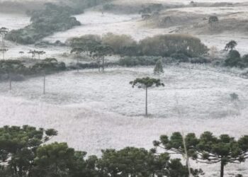 Serra de SC amanhece com geada e temperaturas abaixo de -2ºC; FOTOS e VÍDEO